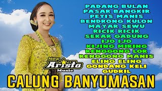 Download lagu Calung Lengger Banyumasan Full Album 2025 Kendang Mbleketaket mp3