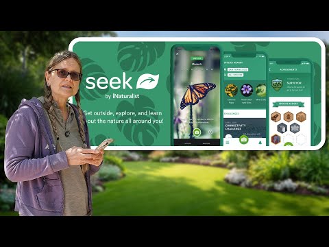This Free App Identifies Plants, Bugs, and Animals in Seconds (Seek App Review)