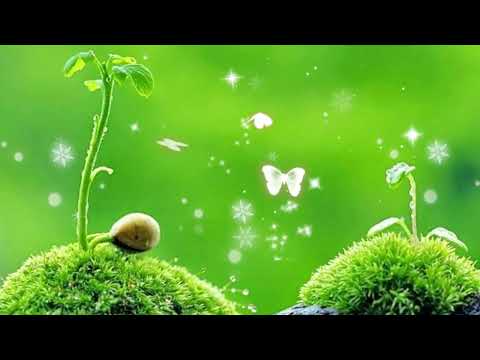 Calm Piano|| For Studying, Reading, Writing, Relaxing..