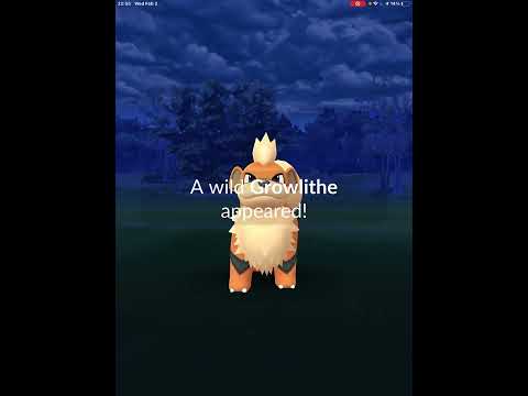 The 999th Excellent Throw In Pokémon Go!
