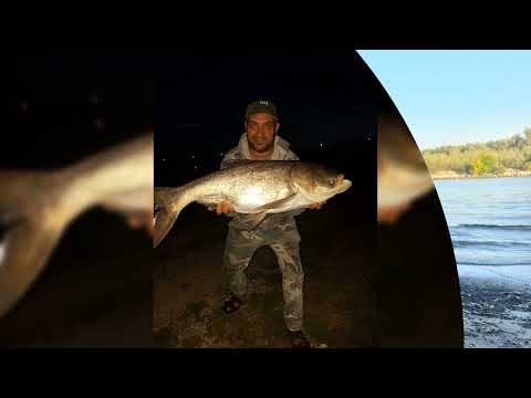 Ionut Mititelu--Vreau sa plec la pescuit--NEW 2021