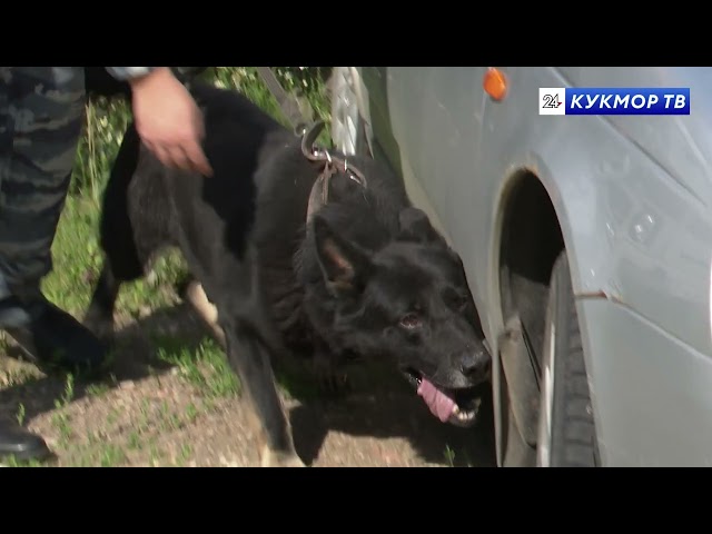 На передовой дружбы