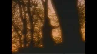 Bel Canto - Shoulder To The Wheel