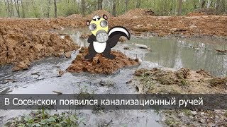 В Сосенском появился канализационный ручей