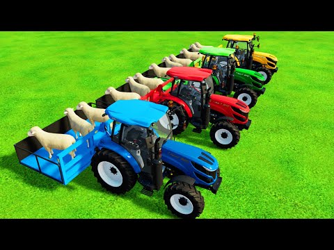 TRANSPORTING SHEEPS WITH MINI PORSCHE COLORED TRACTORS - Farming Simulator 22