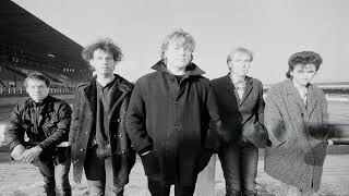 Half Man Half Biscuit - Rod Hull Is Alive...Why? {1986}