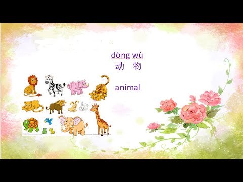 Learn Chinese with Gloria Cheng----Animal in Chinese 动物