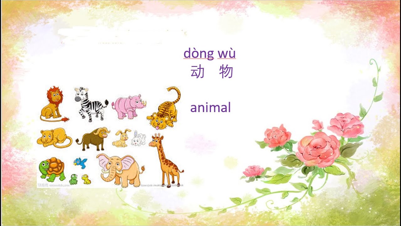 Learn Chinese with Gloria Cheng----Animal in Chinese 动物