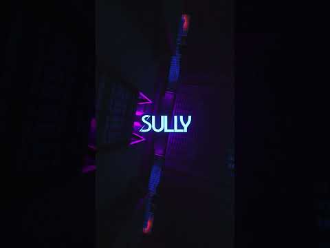 Sully - Never Enough (feat. Dani King)