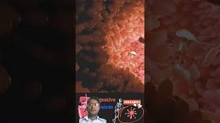 Digestive System [] Gastro-intestinal Journey [] Digestion #ytshorts #shorts