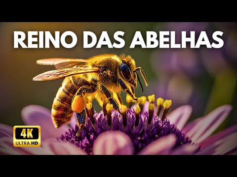 O MUNDO SECRETO DAS ABELHAS | A Vida Dentro da Colmeia - Documentário