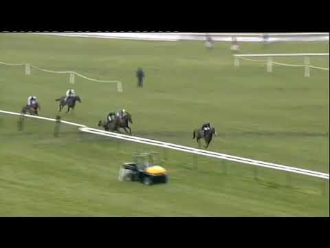 2010 Martin Pipe Conditional Jockeys Hurdle - Cheltenham Festival