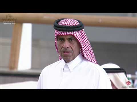 N 158 SHUAA AL SHAQAB   29th Qatar Intl A H  Show 2020   2 Years Old Fillies Class 8