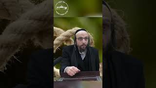 אהבה שאינה תלויה בדבר 💓