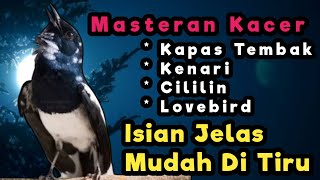 Download lagu masteran kacer isian malam hari isian jelas mudah di tiru untuk kacer apasaja mp3