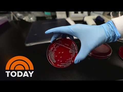 Biotechnology Innovations in Cosmetology | Cosmetologist.org