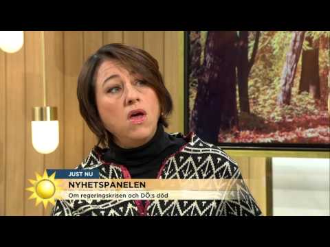 Nyhetspanelen: ”DÖ:s död bra för svensk politik” - Nyhetsmorgon (TV4)