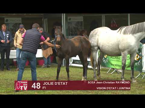 Sprinter Sacré Show 2019 : Lot 48 - JOLIE D'ETAT