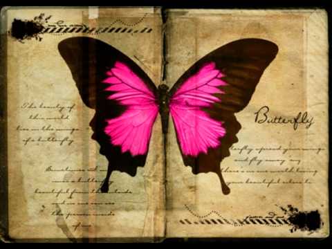 Charles Webster - Sweet Butterfly