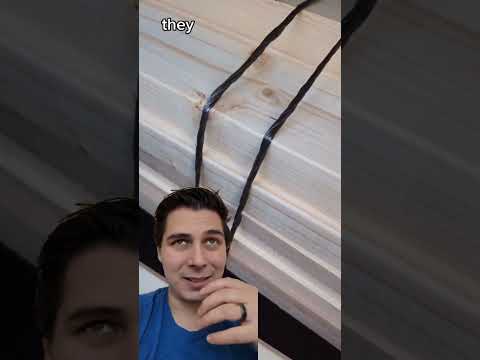 Pretentious - Timber