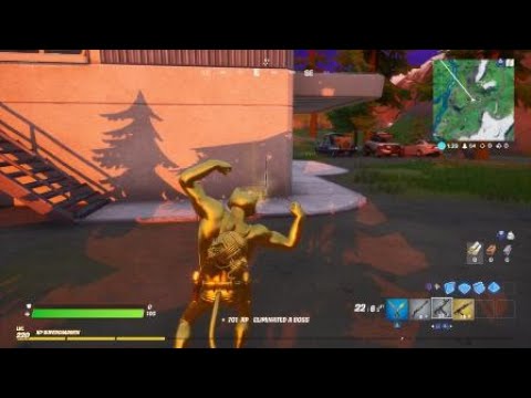 Fortnite Gold Meowscles Takes Out Shadow Meowscles