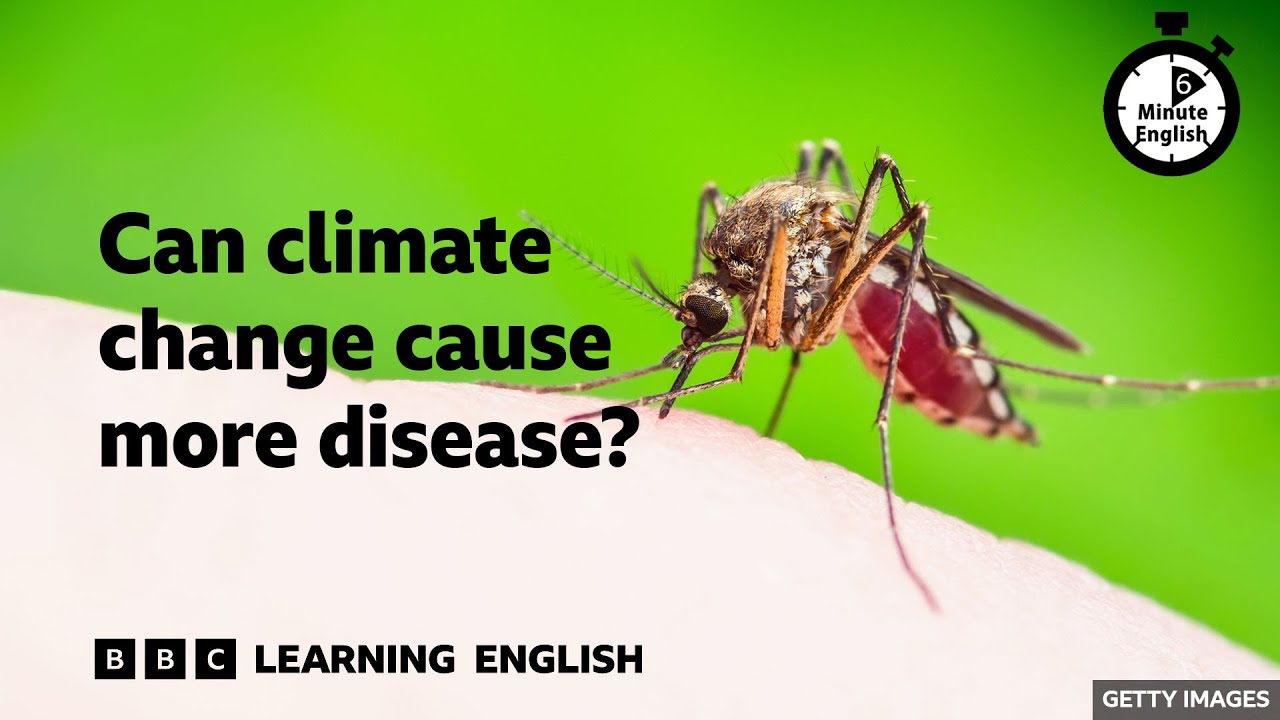 Can climate change cause more disease? ⏲️ 6 Minute English