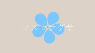 ワスレナグサ～埃をかぶったガラスの靴～