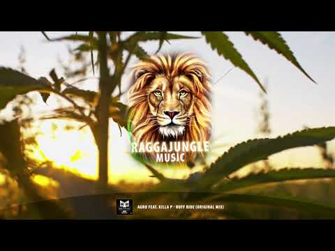 Agro feat. Killa P - Ruff Ride (Original Mix)