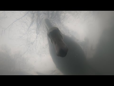 RSD - A marasztalt folyó - második rész