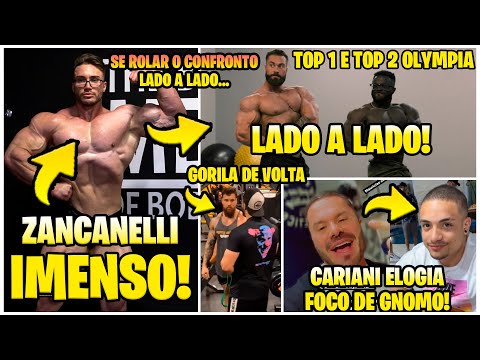 ZANCANELLI MOSTRA O SHAPE IMENSO E FALA DE CBUM! CBUM SACADO! GORILA DE VOLTA A MIDIA! GNOMO NO FOCO