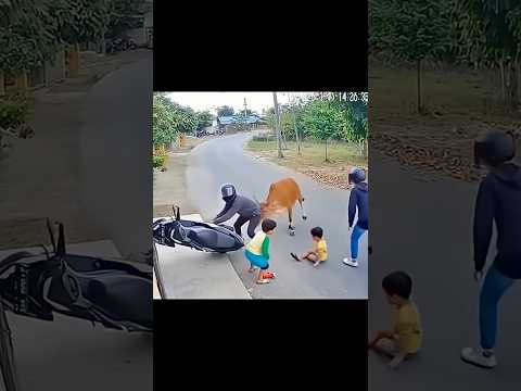 Cow Saved Childs 🤗 #KidnappingFail #RealFootage #Shorts #SoraVideo