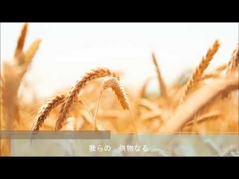 【弦巻マキ／SynthV AI ライト】エイナの民の歌【オリジナル／イメージソング／辺境の老騎士】