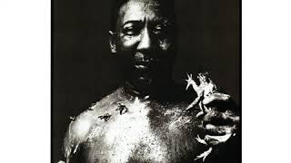 Muddy Waters   I Am The Blues