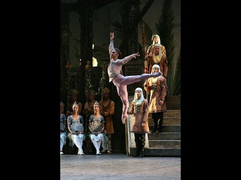 Ivan Vasiliev - La Bayadere Solor Variation
