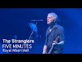 The Stranglers - Five Minutes at the Royal Albert Hall