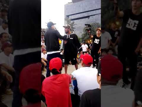 Papicha vs José hits