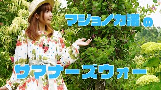 【サマナーズウォー】誕生日後初配信です！バーレイグさんそろそろ出来そう…