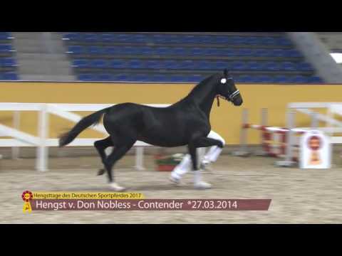 KN 21 v. Don Nobless - Contender