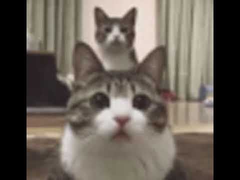 😲😲😲😲😲😲