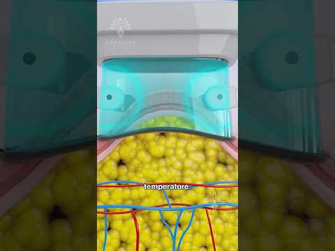 How Does Fat Freezing  & Cryolipolysis Really Work 😲 #shorts #viralvideo - CREATIVELEARNING3D