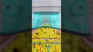 Download lagu How Does Fat Freezing  & Cryolipolysis Really Work 😲 #shorts #viralvideo - CREATIVELEARNING3D mp3