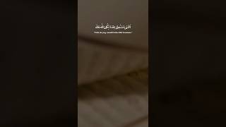 Download lagu tidak ada kata mustahil jika ALLAH berkehendak 🙏 #storywa #katakatabijak #katamutiara #shortvideo mp3