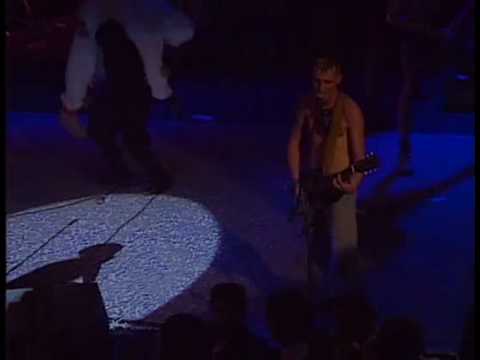 BERURIER NOIR MANIFESTE