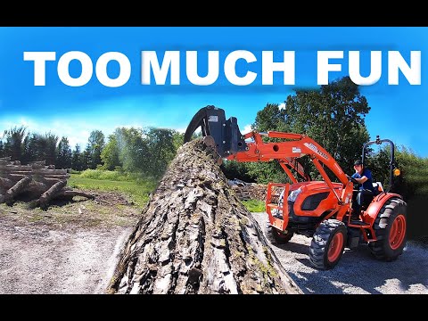 Too much fun; moving LOGS!
