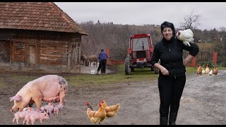 How Romanians live these days high in the mountains.