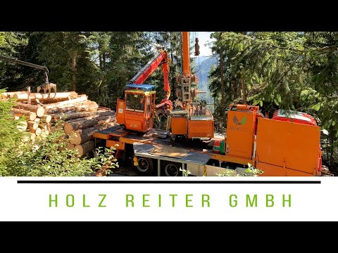 Holz Reiter - Nachhaltige Holzernte