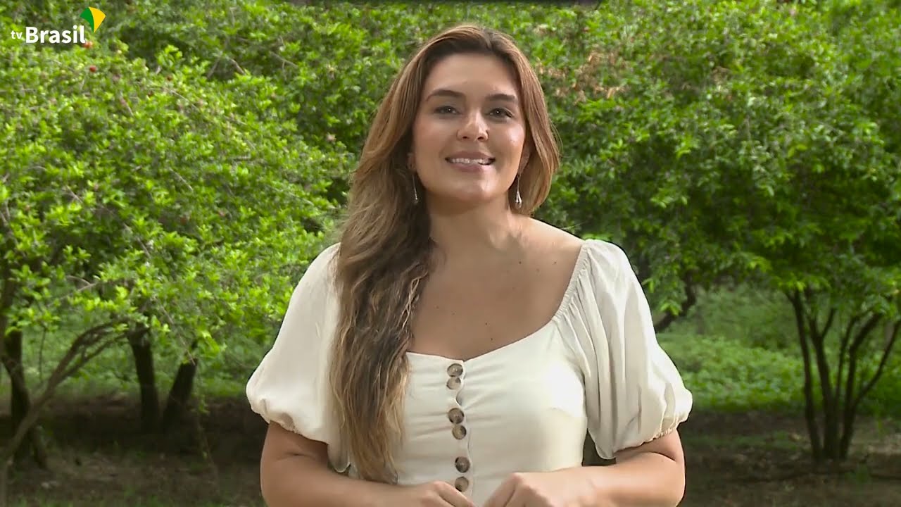 Conheça o Ver-o-Peso, a maior feira à céu aberto da América Latina | Agro Nacional