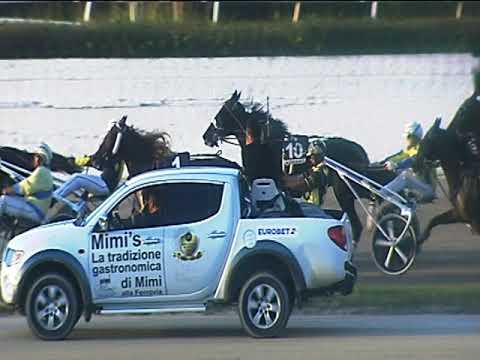 Trotto 07/10/2018 - 7ª corsa