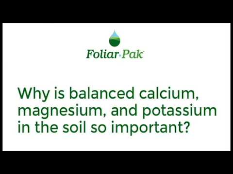 Why is Balanced Calcium, Magnesium, and Potassium in the Soil So Important?