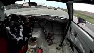 Lemons Gator-O-Rama Clips #88 Rob